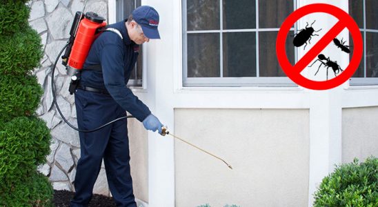 Kumluca Kene İlaçlama böcek ilaçlama ve haşere kontrolü — ilaclama-tr.com